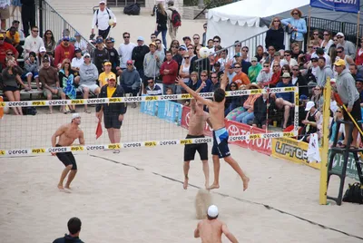 DSC_0014 (Large).JPG